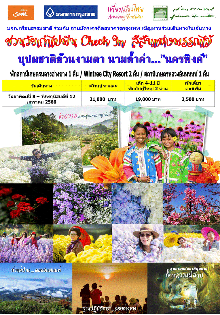 § 2566  / çǧ֡ / ԾԸѳçҹǧ 1 (ҧ) / ¤ /  ҧҧ / ʶҹɵǧҧҧ /çǧҧҧ / ⹡Ź / I love flower farm/ ǹ͡اѹ/ ǹʹ/ǧҺ / çǧԧ / çǧԹ /طҹ觪ҵԴԹ /ҹ /ٹԨɵǧ§ (عҧ) / ѡʶҹɵǧҧҧ 1 ׹ /   Wintree City Resort Chiang Mai (ѡ 2 ׹) / ѡʶҹɵǧԹ 1 ׹